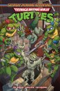 Teenage Mutant Ninja Turtles: Saturday Morning Adventures, Vol. 6