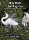 How Birds Live Together