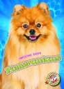 Pomeranians
