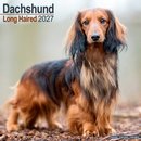 Dachshund Longhaired SS Wall