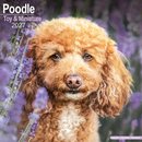 Poodle, Toy & Miniature Wall