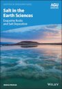 Salt in the Earth Sciences