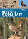 Birds of the Middle East