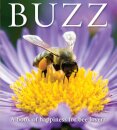Buzz