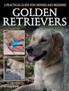 Golden Retrievers