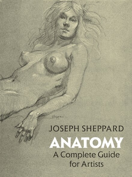 Anatomy