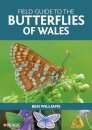 Field Guide to the Butterflies of Wales