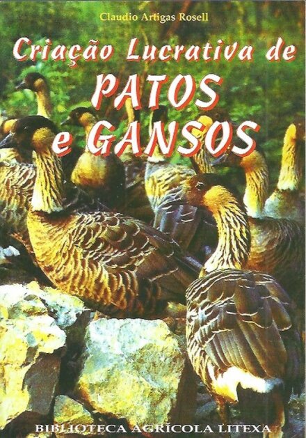 Criaçao Lucrativa de Patos e Gansos