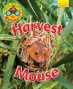 Wildlife Watchers: Harvest Mouse