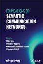 Foundations of Semantic Communication Networks