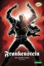 Frankenstein The Graphic Novel