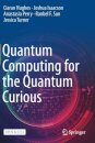 Quantum Computing for the Quantum Curious