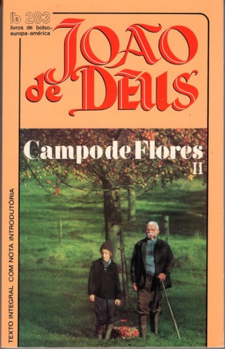Campo De Flores II