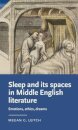 Sleep and its Spaces in Middle English Literature