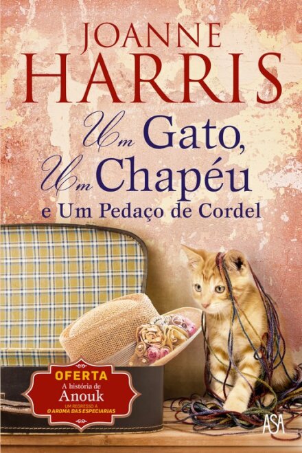 Um Gato, um Chapéu e um Pedaço de Cordel