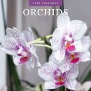 Orchids 2025 Square Wall Calendar