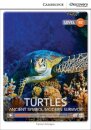 Turtles: Ancient Symbol/Modern Survivor Upper Intermediate Book with Online Access