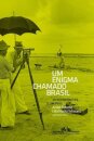 Um Enigma Chamado Brasil: 29 Intérpretes E Um País