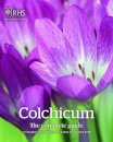 Colchicum: The Complete Guide