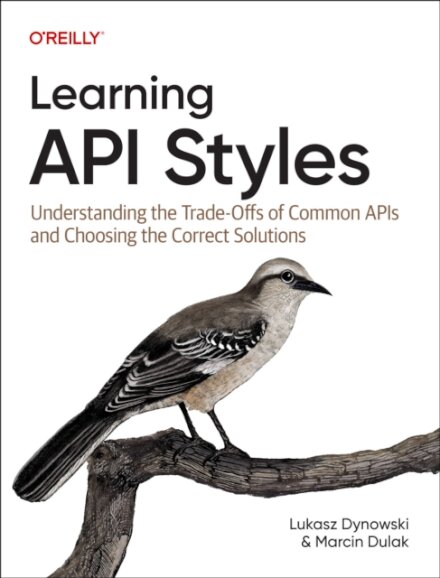Learning API Styles