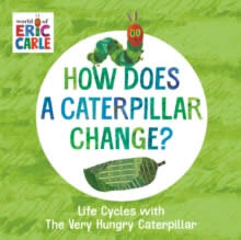 How Does A Caterpillar Change?