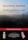 Kom al-Ahmer – Kom Wasit I: Excavations in the Metelite Nome, Egypt