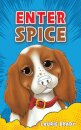 Enter Spice