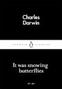 It Was Snowing Butterflies