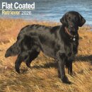 Flatcoated Retriever Calendar 2026  Square Dog Breed Wall Calendar - 16 Month