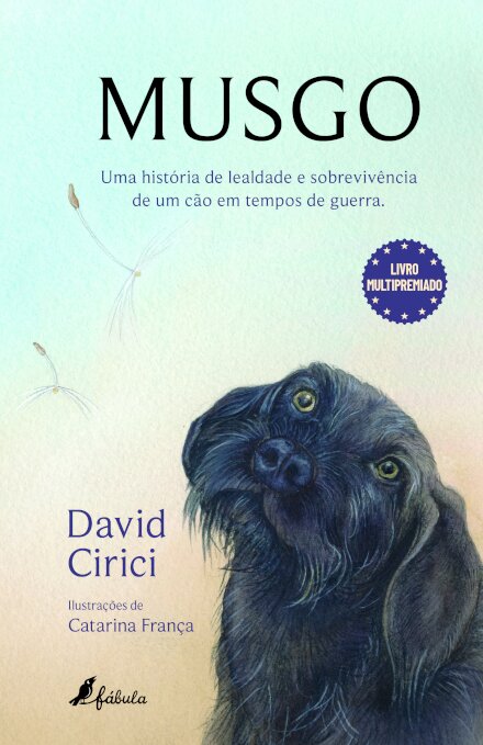 Musgo
