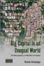 Big Capital in an Unequal World