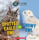 Spotted Eagle-Owl or Snowy Owl (Wild World: Hot and Cold Animals)