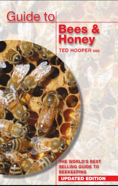 Guide to Bees & Honey