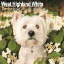 West Highland White Terrier Calendar 2026  Square Dog Breed Wall Calendar - 16 Month