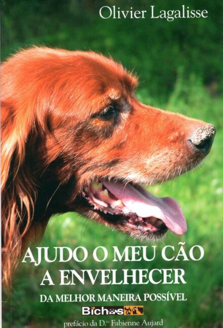Ajudo O Meu Cão A Envelhecer