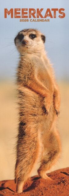 Meerkats  Slim Calendar 2026 Cute Slimline Calendar - 12 Month
