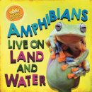 In the Animal Kingdom: Amphibians Live on Land and in Water