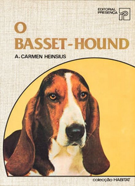 Basset Hound