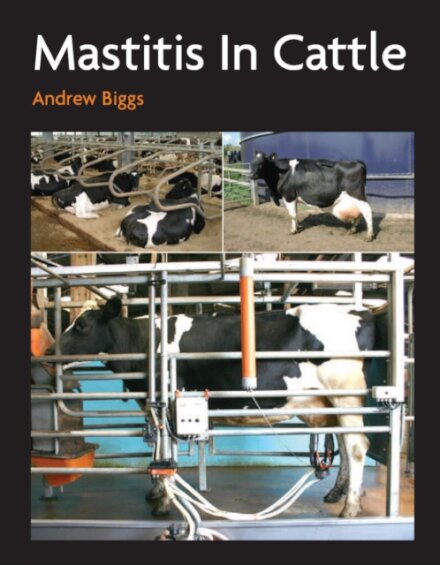 Mastitis In Cattle