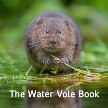 Nature Book Series: The Water Vole Book