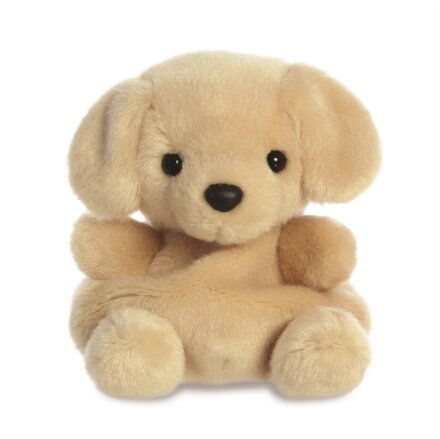 PP SUNNY LABRADOR DOG 5IN