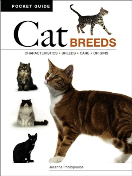Cat Breeds