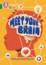 Meet Your Brain