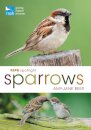 RSPB Spotlight Sparrows