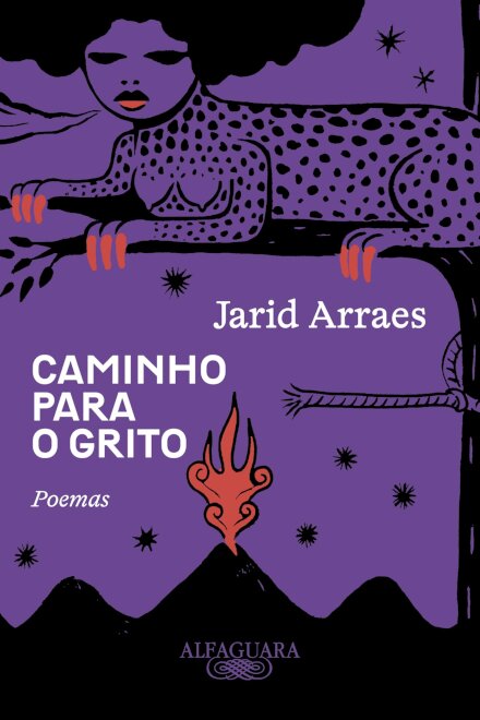 Caminho para o grito: poemas