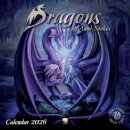 Dragons by Anne Stokes Wall Calendar 2026 (Art Calendar)