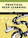 Practical Deep Learning