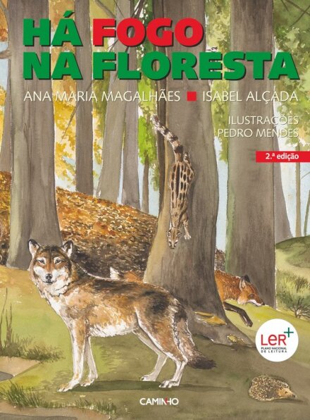 Há Fogo na Floresta