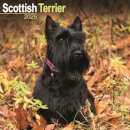 Scottish Terrier Calendar 2026  Square Dog Breed Wall Calendar - 16 Month