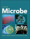 Microbe